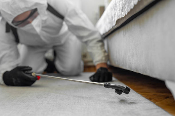 Professional Bed Bug Control technician working in Vauxhall, NJ