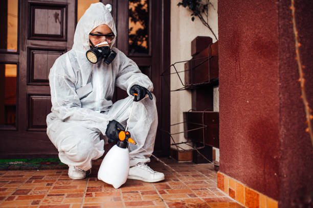 Reliable Bed Bug Control contractor in Vauxhall, NJ by Nex Pest Control
