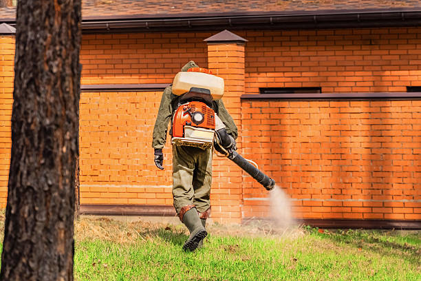 Trusted Termite Control service in Vauxhall, NJ - Nex Pest Control